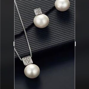Beautiful Silver Earrings and necklace set